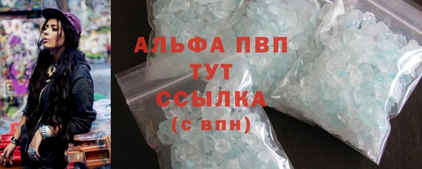 стафф Богданович