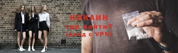 шишки Алапаевск