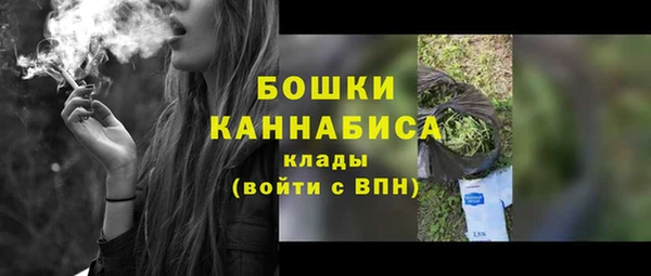 стафф Богданович