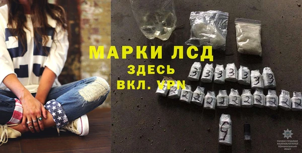 стафф Богданович