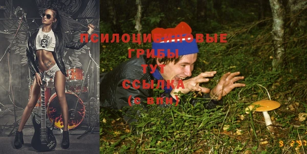 MESCALINE Богородицк